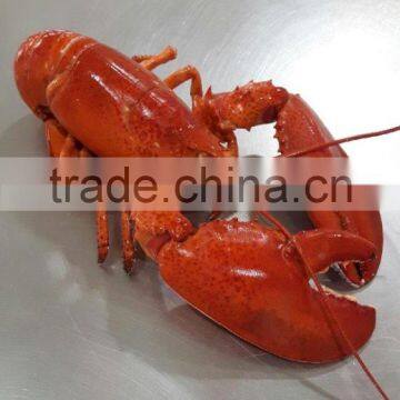 Frozen Cooked /frozen Raw Canadian Lobster photo-2