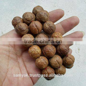 Buddha Chitta 13 Beads Bodhi Seed Genuine Indonesian Phoenix Eye Mala Phrengba photo-5