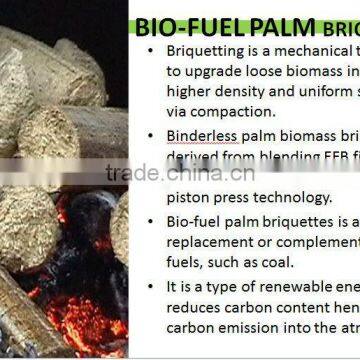 Palm Fiber Briquette photo-6