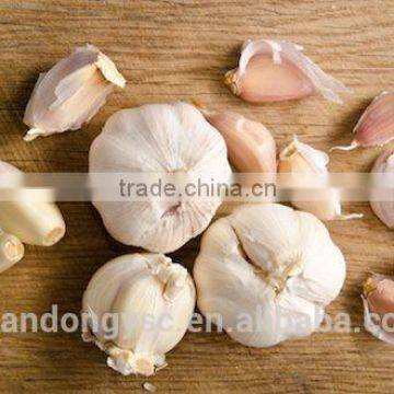 The Best Vegetable Product From China Fresh Garlic photo-4