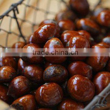 bulk chestnuts