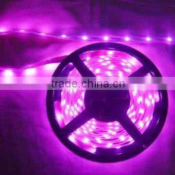 1210 red led strip for holiday lighting/decoration 3m/5m