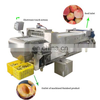 High Efficiency Automatic Peach Peeling Pitting Splitting Machine