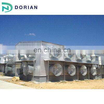 Double Floor Prefabricated Chicken Poultry Farm Shed photo-5