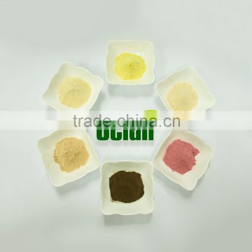 High Quality Instant Honeysuckle Extract Powder for Food and Beverage