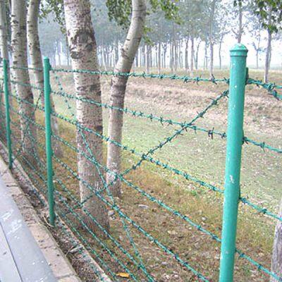 High Tensile Barbed Wire Fence Galvanized Barb Wire Roll photo-6