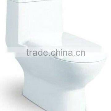 Washdown One-piece Toilet 3089