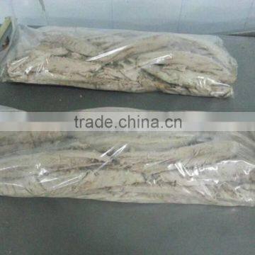 frozen pre-cooked skipjack tuna loins(skipjack fish) in China