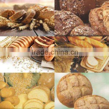 BREAD PREMIXES (GENERAL LIST)