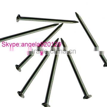 Common Nail Iron Nail Factory Common Wire Nail photo-2