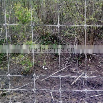 Factory supply Grassland Fence/field fence/animal fence with high strength