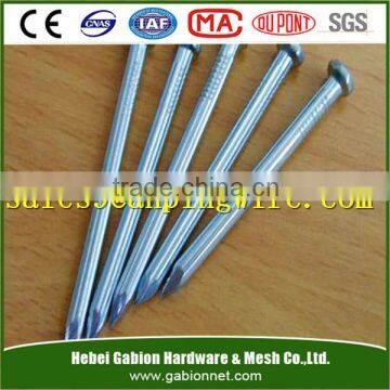 concrete nails/Hardened steel concrete nails /concrete nails