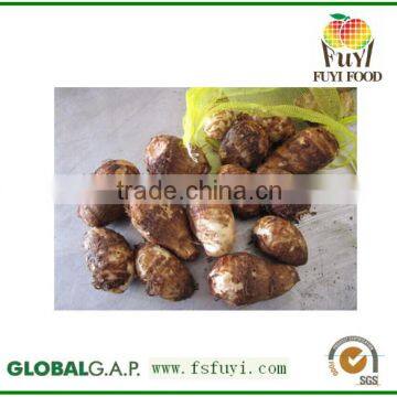 The most fresh taro with competitive price in China