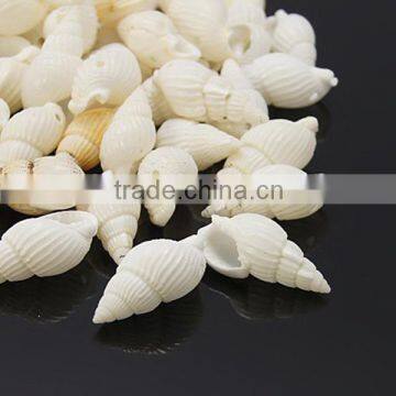 White Shell Beads about 850pcs/500g(BSHE-S061)