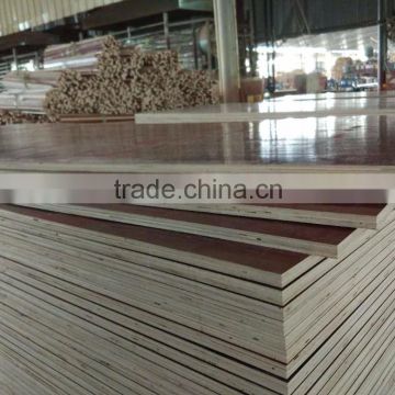 India market 18mm shuttering plywood for building construction plywood