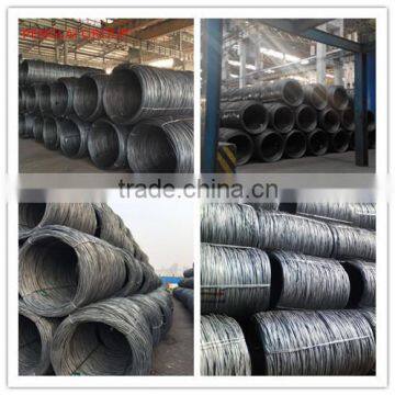 Sae 1008 Wire Rod 5.5mm, 5.5mm Wire Rod in Coils for Construction