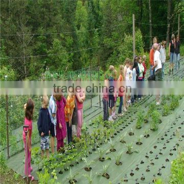 2015 Agriculture and garden used PP ground cover mesh