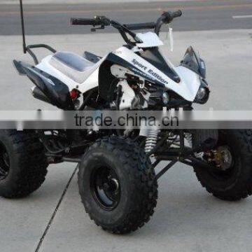 110cc ATV/QUAD