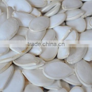 2016 New Crop Chinese Dried Snow White Pumpkin Seeds with Top Quality