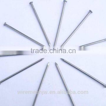 Best Quanlity Polished Common Iron Nails /15cm Iron Nail/Common Iron Nails for Construction