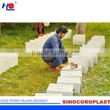 PP Corrugated Vegetable Packing Container