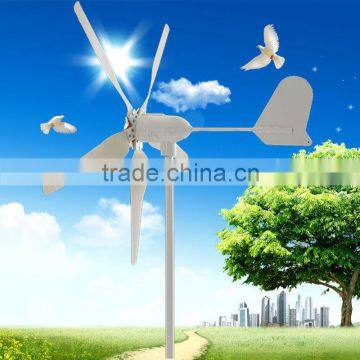Small Wind Generator for Home Use