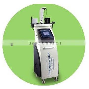 2013 beauty equipment beauty machine ipl/rf skin solution