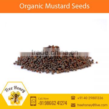 Best Quality Brown and Yellow Mustard Seed with Good Medicinal Property