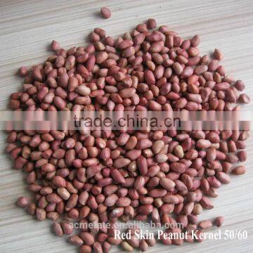 Shandong blanched red skin peanut kernels