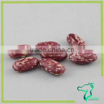 Red Speckled Kidney Beans Seeds