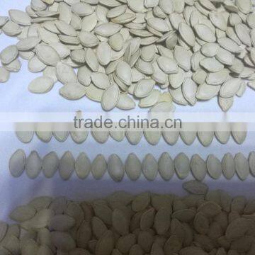 White Pumpkin Seeds in Shell photo-6