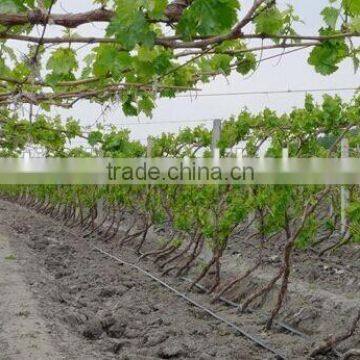 Farm Irrigation System Driptape t Tape