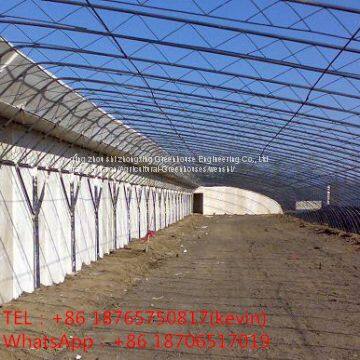 Hot sell  Intelligent  Greenhouse/Sun board greenhouses