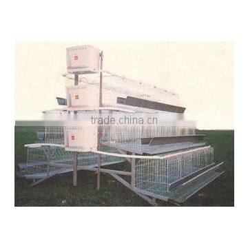 Africa chicken cage for sale automatic chicken layer cage for sale in philippines