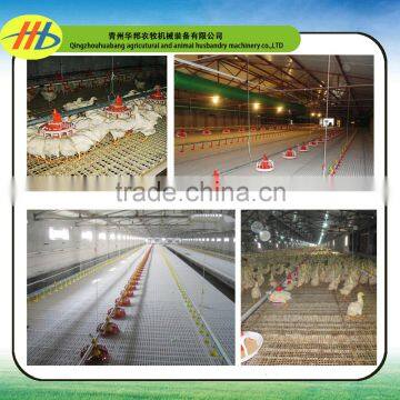 2017 direct factory poultry chicken farming for exporting