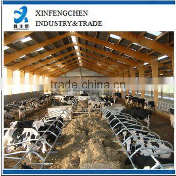 Cattle free stall system single side