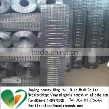 Factory price 10 gauge GI 5x5mm galvanized welded wire mesh