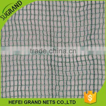 Green Chinese Credible Supplier Date Olive Net