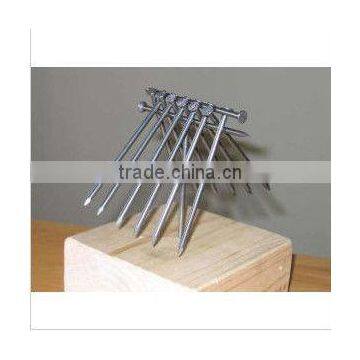 Price of Clout Nails for Building