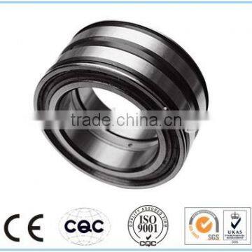 Cylindrical Roller Bearing SL04...PP