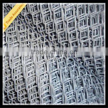 60*60mm Mesh Size Hot Dipped Galvanized Chain Link Fence for Sale photo-6