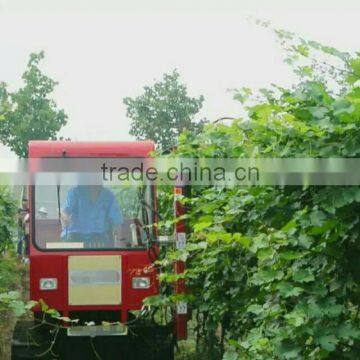 Vineyard Hedge Cutter