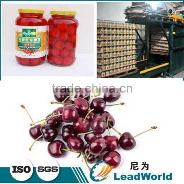 Best Price Automatic Canned Cherries Palletizer photo-2