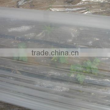 Single span tunnel Transparent Coextruded PE Cover Film PE mulch film for watermelon greenhouse