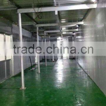 Sun Dried Daphnia photo-4