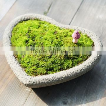 Creative fleshy flower pots cement decorative heart shape planter