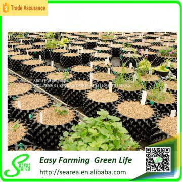 Irrigation Air Root Container Agriculture photo-3