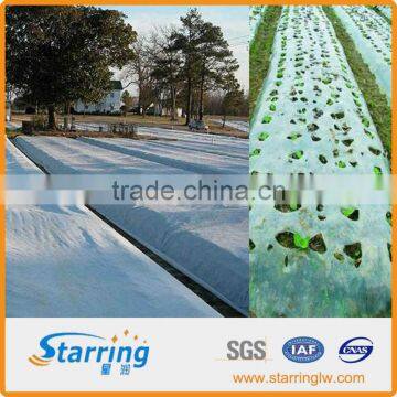 Ground Cover Non-woven Agriculture Fabric