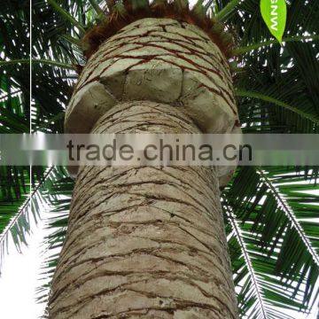 GNW APM015 Artificial Date Palm Tree New Products 2016 Can Use for Home Decor photo-2