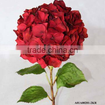 red single hydrangea